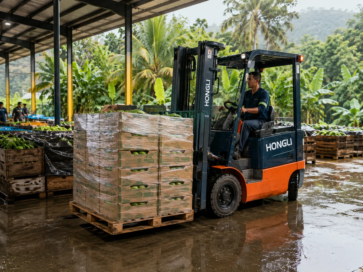 HONGLI dealer in Brazil